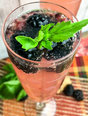 Blackberry Basil Cocktail